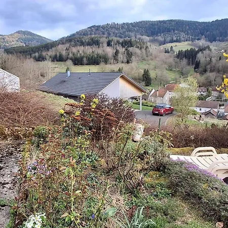 Spacieuse Avec Salle D'eau Privative A - Fr-1-589-810 Wisembach