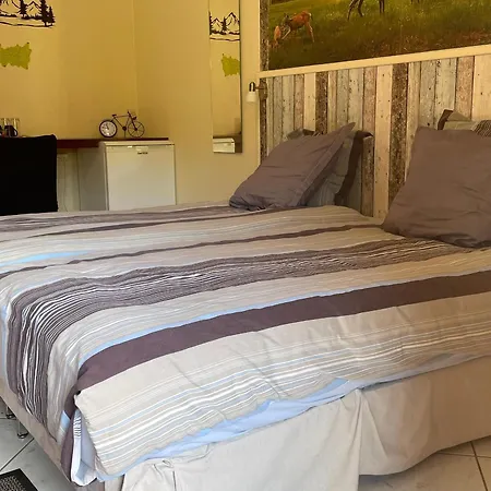Spacieuse Avec Salle D'eau Privative A - Fr-1-589-810 * Wisembach
